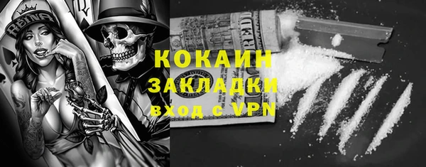 соль ск Алексин