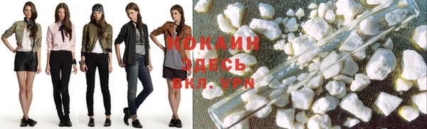 прущие крисы Алзамай